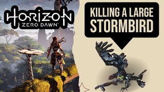 Killing a Large Stormbird  Epic Scene  Horizon Zero Dawn  Easy  Biggest Bird  New Game [upl. by Yde544]