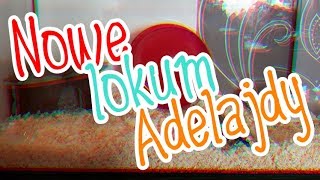 HOUSETOUR  NOWE AKWARIUM  Adelajda [upl. by Aloiv]