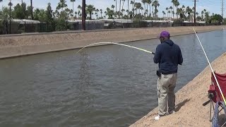 ARIZONA CANALS [upl. by Jepson454]