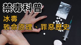 【禁毒科普】第一集：冰毒的致命原理、罪惡歷史 [upl. by Innavoeg]