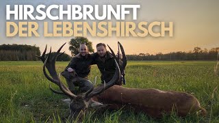 Hirschbrunft in Polen I Goldmedaillen Lebenshirsch I Hunt on Demand Free Episode [upl. by Lertnahs]