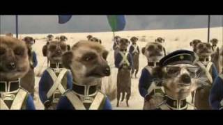 Compare the Meerkat  Advert 8 [upl. by Ahtnamys]