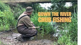 Back Down The River Chub Fishing on a Wild Upper Medway section chubfishing fishing [upl. by Yarod594]