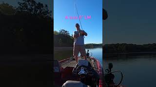 A bonafide 6”er lake fishing [upl. by Milicent]