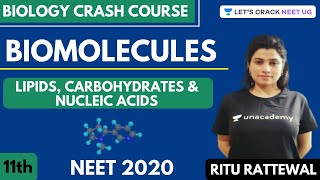 Phoenix 20 Biology Most Important Video for NEET 2025  Udaan [upl. by Verdie]