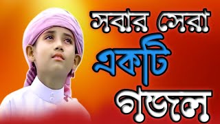 মায়াবী কন্ঠে ভাইরাল গজল  ও প্রভু আমাকে দাওনা ডানা  O Provu Amake Dawna Dana  Toki  New Song 2024 [upl. by Nosirb]