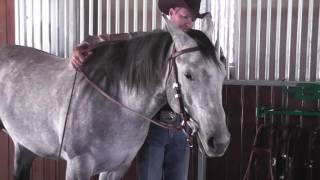 Function of a Bridle with a Snaffle Bit [upl. by Aelc786]