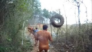 Tire Hunts Spartan during Spartan Race  Charlotte NC 03232013 [upl. by Adelbert]