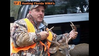 Hunting Florida Wildlife Management Areas EP1 WMAs [upl. by Steel387]