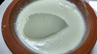 दही जमाने का सही तरीका हलवाई जैसाHow to make dahi or curd at homeeasy way to make curdcurd recipe [upl. by Atnom]