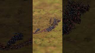 80 Polish Winged Hussars VS 30 Monaspas [upl. by Aibsel]