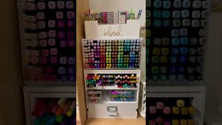 RECYCLE IDEAS Markers Organizer ♻️ [upl. by Winston]