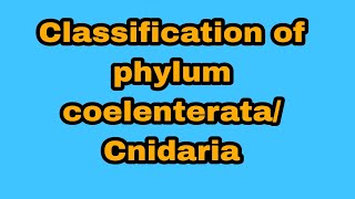 Classification of phylum coelenterataCnidaria BsBsc 1st year [upl. by Isaacs]