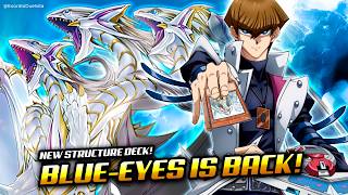 BLUEEYES deck Post Advent of the Eyes of Blue Deck ft NEW Structure Deck support❗  Exordio [upl. by Iona452]