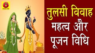 तुलसी विवाह महत्व कथा और पूजन विधि Tulsi Vivah Puja Vidhi  How to do Tulsi Puja [upl. by Ojillib]