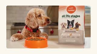 Canidae All Life Stages  Great Nutrition For MultiDog Families [upl. by Anad938]