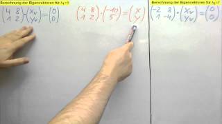 Eigenwerte und Eigenvektoren einer 2x2 Matrix berechnen [upl. by Mahon]