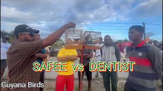 SAFEE vs DENTIST Bella Towa Towa Bird Whistling Competition Who Whistles Best [upl. by Ambrosius258]