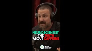 Neuroscientist Truth About Caffeine  Andrew Huberman joerogan shorts [upl. by Jac479]