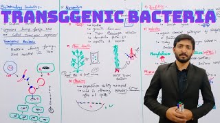 Transgenic Bacteria Biotechnology Products  Biology 12th  Chapter 23 Biotechnology  Lecture 8 [upl. by Dionis]