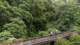 La Martinique terre de randonnée  Échappées belles [upl. by Ahsieyt]