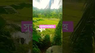 দোয়া টি একবার পড়ুন foryou vairalshort amirhamjawaz shots [upl. by Seroka858]