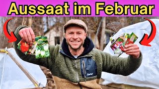 11 Gemüse die Du im FEBRUAR säen kannst 🌱  Aussaat im Frühbeet [upl. by Carrillo]