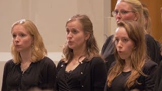 Wandrers Nachtlied – Diepenbrock  Utrechts Studenten Koor en Orkest olv Gilles Michels [upl. by Ynnol906]