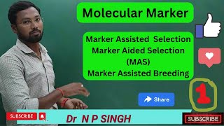 Marker assisted selection MARKERASSISTEDSELECTION molecularbiology markers assisted breeding [upl. by Dobbins]