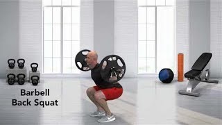 How to do a Barbell Back Squat [upl. by Ahsirpac46]