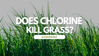 Does Chlorine Kill Grass [upl. by Acinot]