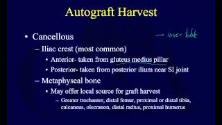 Bone grafting 1  Autografts and allografts OTA lecture series III g12c [upl. by Damha232]