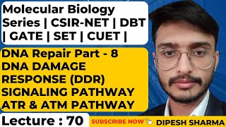 Molecular Biology Lecture 70  DNA Repair Part 8  DNA Damage Response Signaling Pathway  ATR  ATM [upl. by Nogras]