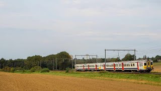 Trains dans les champs à Nivelles 3 Septembre 2023 [upl. by Aramenta]