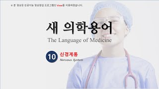 010 의학용어 10장  신경계통 [upl. by Airehc]