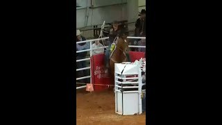 Danielle Lowman breaks arena record in Fort Worth [upl. by Anayd263]