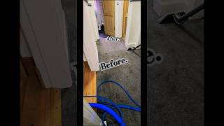 Before amp after Carpet cleaning Glasgow cleaning shorts satisfying [upl. by Orms]