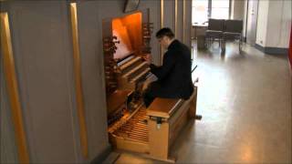 JS Bach Organ Toccata in F Major BWV 540 [upl. by Mailand]