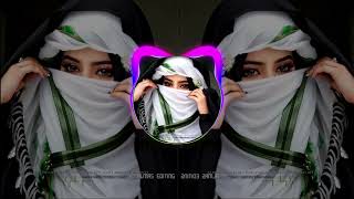 New Arabic Remix  Bass Boosted ریمیکس 2024   SlowedReverb  New Song 2024 [upl. by Corin]