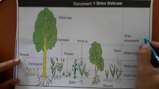 La Sortie écologique Sciences de la Vie et de la Terre SVT TCS BIOF Partie 1  continuité [upl. by Atikehs]