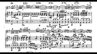 Haydn  Violin Concerto No 2 in G major 1st Mov piano accompaniment [upl. by Lananna]