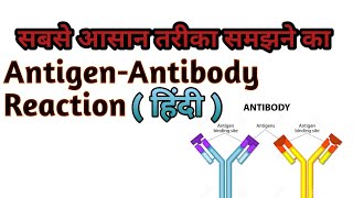 AntigenAntibody Reaction in  हिंदी Essy Way To Explain [upl. by Dadelos301]