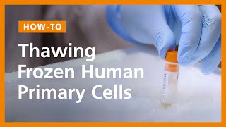 How to Thaw Frozen Human Primary Cells [upl. by Reba]