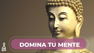 Meditación Guiada 🌸 Mindfulness Atención Consciente y Concentración Total [upl. by Aihseyk]