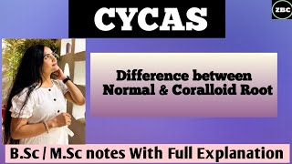 CYCAS Difference between Normal amp Coralloid Root  BSc  MSc Notes [upl. by Aneekat]