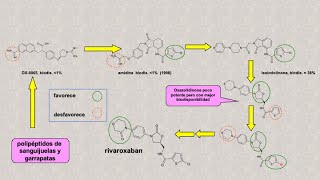 RivaroxabanApixaban anticoagulantes síntesis introducción [upl. by Rodmann]