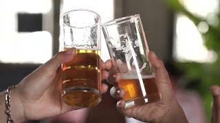 HD Group of Friends Cheers Glasses  Stock Footage to Download [upl. by Chrissa]