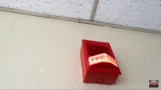 Fire Alarm Test 9 [upl. by Des]