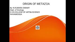 ORIGIN OF METAZOA [upl. by Ainig]