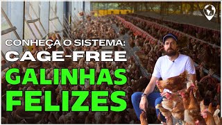 25 Mil GALINHAS FELIZES Granja Killer revoluciona criação CageFree e Caipira  Adriano Killer [upl. by Ailet]